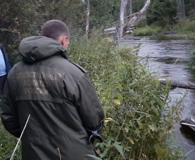 В Ломоносовском районе возбуждено уголовное дело по факту обнаружения останков человека